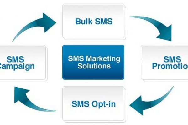 Proactive Bulk SMS Service